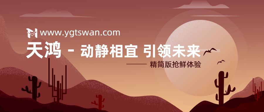 动静相宜，引领未来——亿万先生天鸿1月1日正式上线！